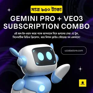 Gemini Pro + VEO3 - 1year